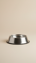 Brushed Metal Feeding Bowl in Beige